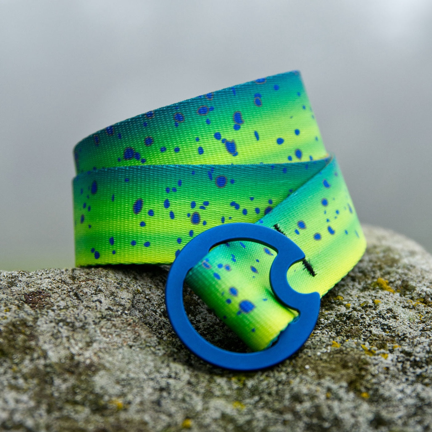 MAHI MAHI/DORADO - REVERSIBLE BELT