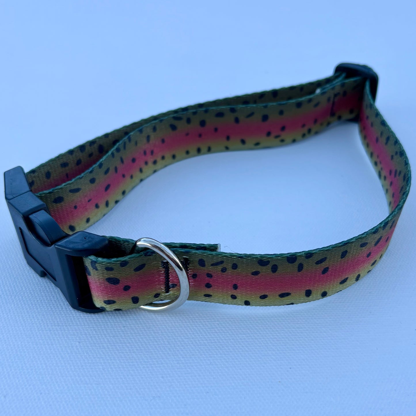 DOG COLLAR - RAINBOW TROUT M/L