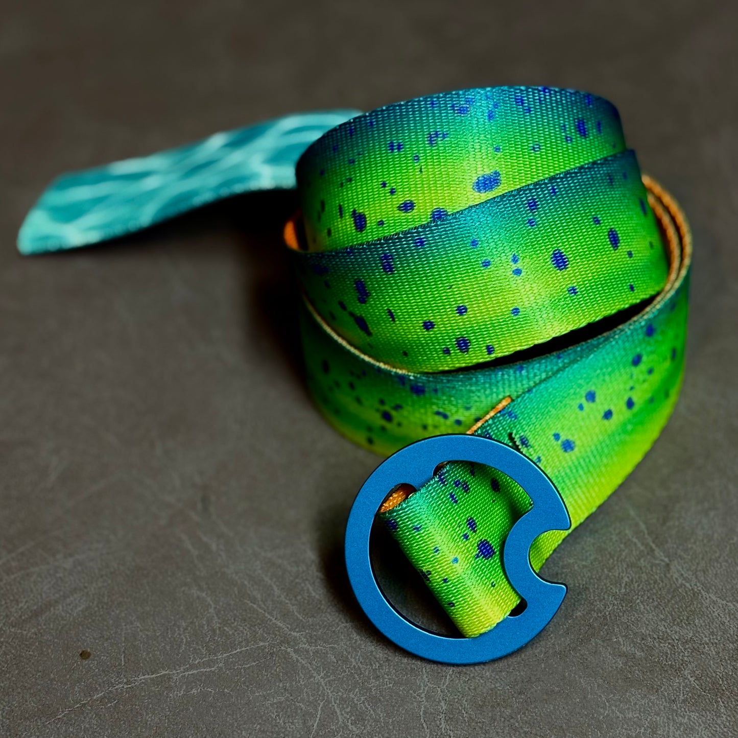 MAHI MAHI/DORADO - REVERSIBLE BELT
