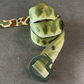 LARGEMOUTH BASS - REVERSIBLE