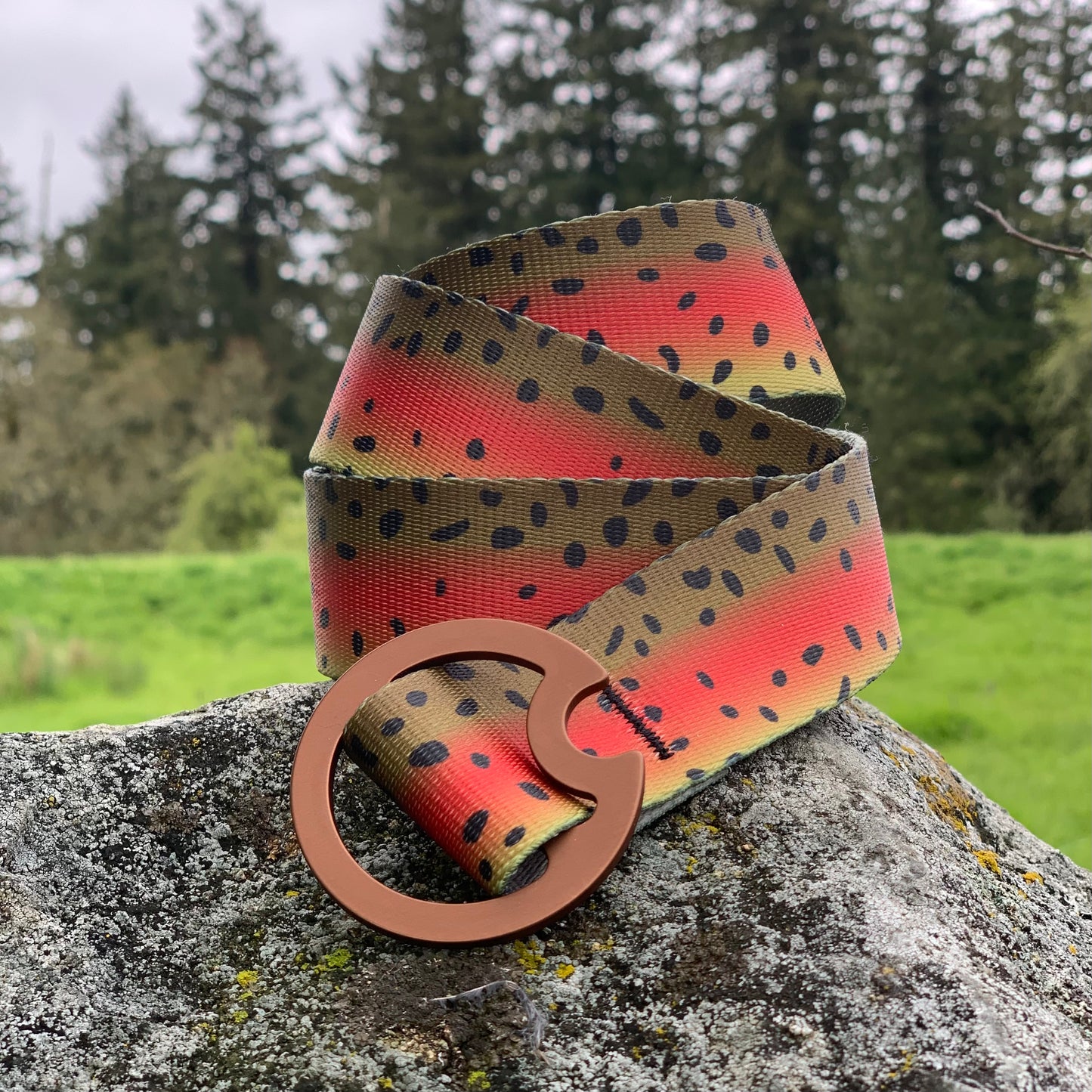 NATIVE REDSIDE TROUT BELT