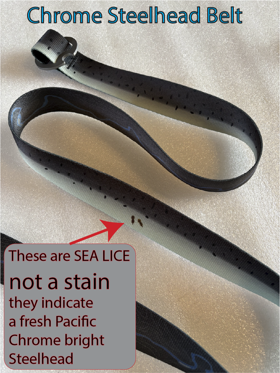 CHROME STEELHEAD BELT - REVERSIBLE
