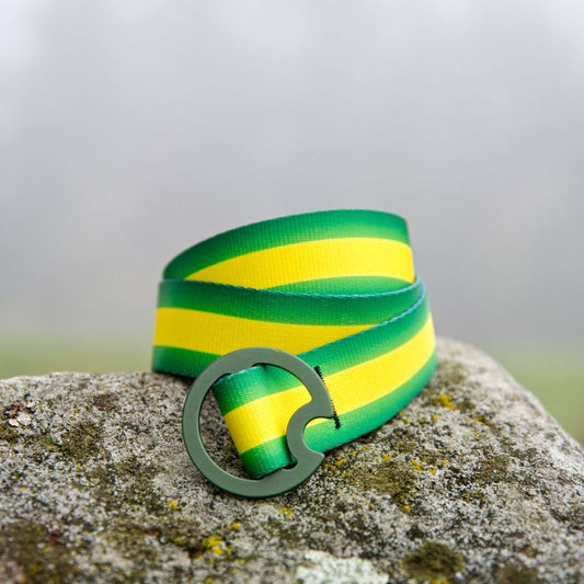 OREGON DUCK STRIPE BELT