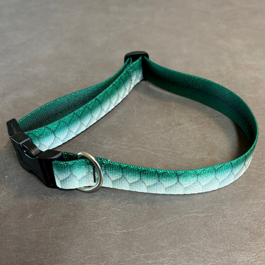 DOG COLLAR - EMERALD TARPON M/L