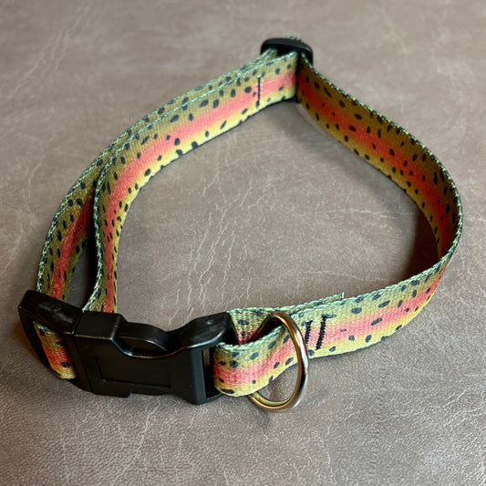 DOG COLLAR - RAINBOW TROUT M/L