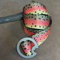 RAINBOW TROUT BELT - REVERSIBLE (GRAY BUCKLE)