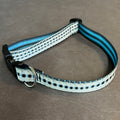 DOG COLLAR - STRIPED BASS M/L